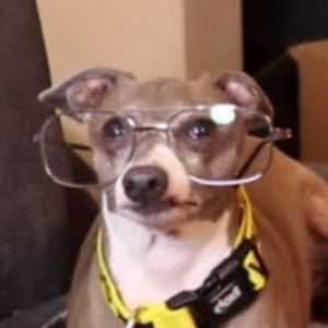 Meet your Posher, Clover